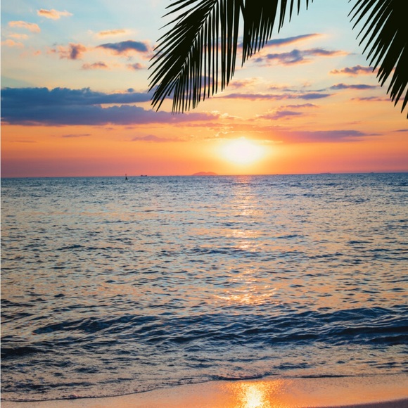 Meet your Posher, Monica - Picture 1 of 1